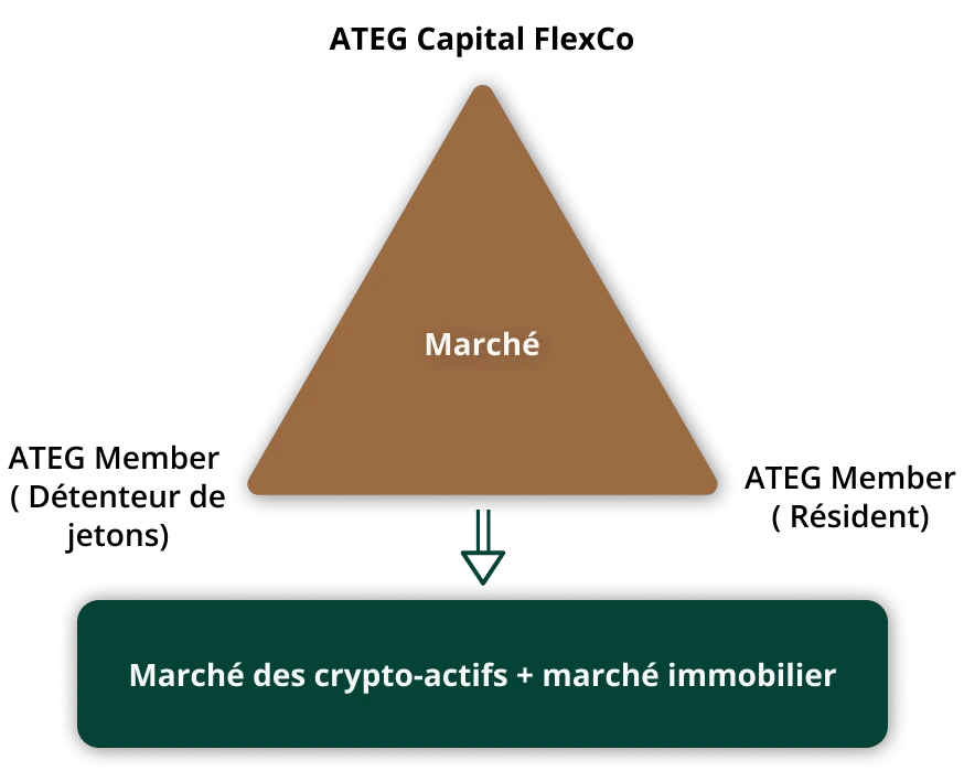CV_shema1_FR