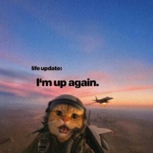 Picture of Mitchh C.